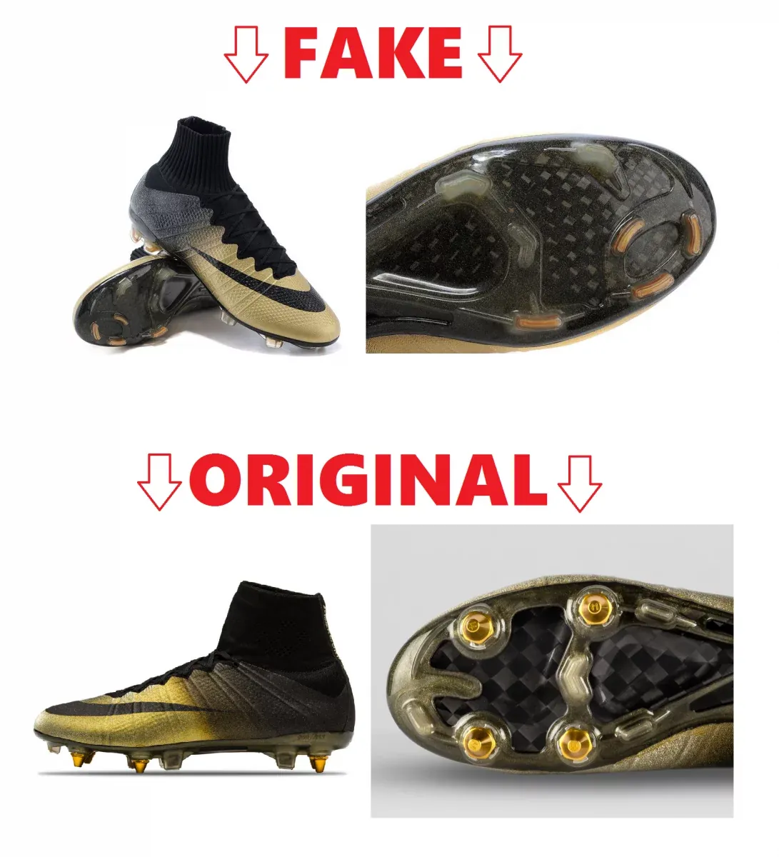 post card FAKE VS REAL.webp