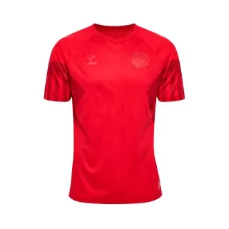 T-Shirt Denmark Home Jersey Worldcup Qatar 2022 Red