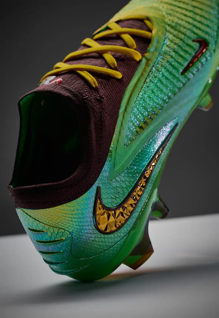 Cactus 6 (1)